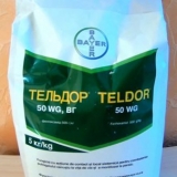 Teldor fungicid: upute za uporabu, recenzije